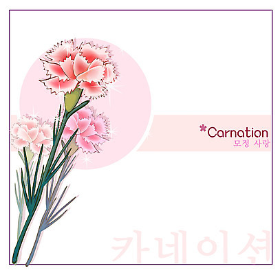 EPS 식물 꽃 분홍색 백그라운드 꽃백그라운드 일러스트 여름꽃 자연 사람없음 카네이션 국내일러스트 컬러 생태계 파일형식 벡터 여름_계절