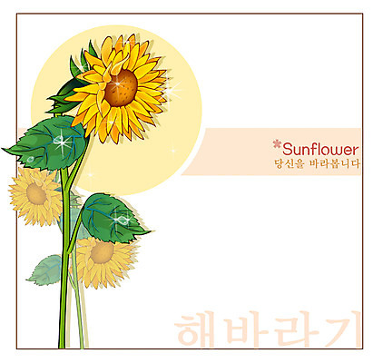 EPS 식물 꽃 컬러 백그라운드 꽃백그라운드 일러스트 여름꽃 자연 해바라기 사람없음 노란색 국내일러스트 생태계 파일형식 벡터 여름_계절