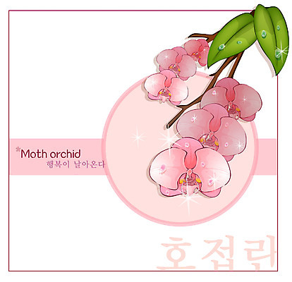 EPS 식물 꽃 분홍색 백그라운드 꽃백그라운드 일러스트 자연 사람없음 난초 호접란 국내일러스트 컬러 생태계 파일형식 벡터