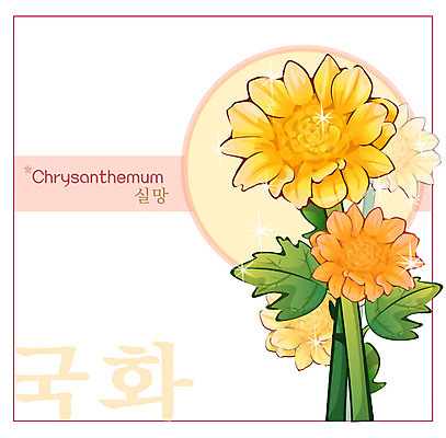 EPS 식물 꽃 컬러 백그라운드 꽃백그라운드 일러스트 자연 국화 가을꽃 사람없음 노란색 국내일러스트 생태계 파일형식 벡터 가을_계절