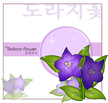 EPS 식물 꽃 컬러 백그라운드 꽃백그라운드 일러스트 여름꽃 자연 사람없음 보라색 도라지꽃 국내일러스트 생태계 파일형식 벡터 여름_계절