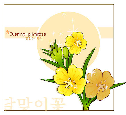 EPS 식물 꽃 컬러 백그라운드 꽃백그라운드 일러스트 여름꽃 자연 사람없음 노란색 달맞이꽃 국내일러스트 생태계 파일형식 벡터 여름_계절