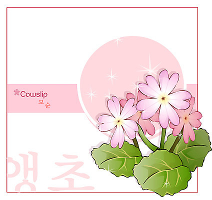 EPS 식물 꽃 분홍색 백그라운드 꽃백그라운드 일러스트 봄꽃 자연 사람없음 앵초 국내일러스트 컬러 봄 생태계 파일형식 벡터