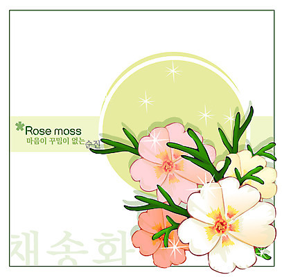 EPS 식물 꽃 백그라운드 꽃백그라운드 일러스트 여름꽃 자연 사람없음 컬러풀 채송화 국내일러스트 컬러 생태계 파일형식 벡터 여름_계절