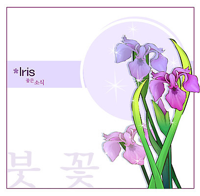 EPS 식물 꽃 컬러 백그라운드 꽃백그라운드 일러스트 봄꽃 자연 사람없음 보라색 아이리스 붓꽃 국내일러스트 봄 생태계 파일형식 벡터