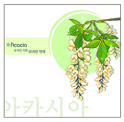 EPS 식물 꽃 백그라운드 꽃백그라운드 일러스트 봄꽃 자연 사람없음 흰색 아카시아 국내일러스트 나무 컬러 봄 생태계 파일형식 벡터