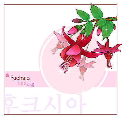 EPS 식물 꽃 컬러 백그라운드 꽃백그라운드 일러스트 여름꽃 자연 사람없음 빨간색 국내일러스트 생태계 파일형식 벡터 여름_계절