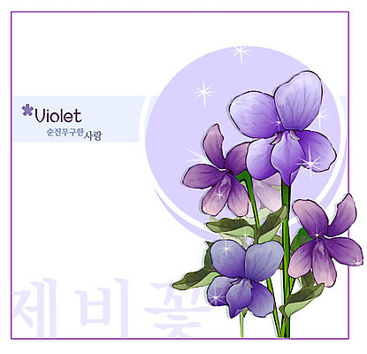 EPS 식물 꽃 컬러 백그라운드 꽃백그라운드 일러스트 봄꽃 자연 사람없음 보라색 들꽃 제비꽃 국내일러스트 봄 생태계 파일형식 벡터