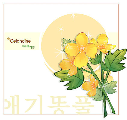 EPS 식물 꽃 컬러 백그라운드 꽃백그라운드 일러스트 봄꽃 자연 사람없음 노란색 들꽃 애기똥풀 국내일러스트 봄 생태계 파일형식 벡터