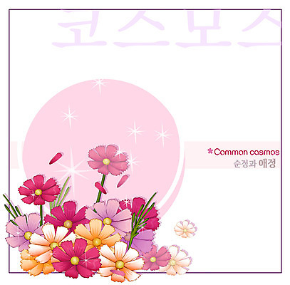 EPS 식물 꽃 백그라운드 꽃백그라운드 일러스트 자연 가을꽃 사람없음 컬러풀 코스모스 국내일러스트 컬러 생태계 파일형식 벡터 가을_계절