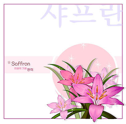 EPS 식물 꽃 분홍색 백그라운드 꽃백그라운드 일러스트 자연 사람없음 들꽃 사프란 국내일러스트 컬러 향신료 생태계 파일형식 벡터