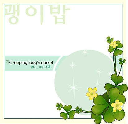 EPS 식물 꽃 컬러 백그라운드 꽃백그라운드 일러스트 여름꽃 자연 사람없음 노란색 괭이밥 국내일러스트 여름 생태계 파일형식 벡터 계절