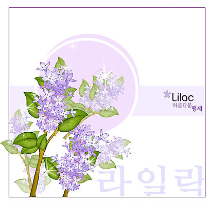 EPS 식물 꽃 컬러 백그라운드 꽃백그라운드 일러스트 봄꽃 자연 사람없음 보라색 꽃말 라일락 국내일러스트 봄 생태계 파일형식 벡터