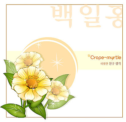 EPS 식물 꽃 백그라운드 꽃백그라운드 일러스트 여름꽃 자연 사람없음 노란색 꽃말 백일홍 국내일러스트 컬러 생태계 파일형식 벡터 여름_계절