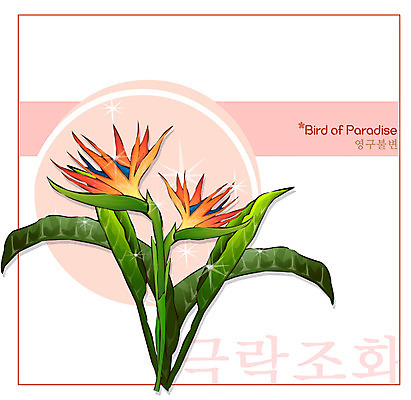 EPS 식물 꽃 컬러 백그라운드 꽃백그라운드 일러스트 자연 사람없음 주황색 꽃말 극락조화 국내일러스트 생태계 파일형식 벡터