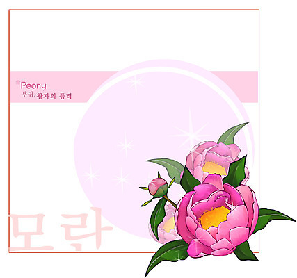 EPS 식물 꽃 분홍색 백그라운드 꽃백그라운드 일러스트 봄꽃 자연 사람없음 꽃말 모란 국내일러스트 컬러 봄 생태계 파일형식 벡터