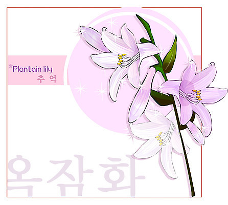 EPS 식물 꽃 컬러 백그라운드 꽃백그라운드 일러스트 여름꽃 자연 사람없음 보라색 꽃말 옥잠화 국내일러스트 생태계 파일형식 벡터 여름_계절