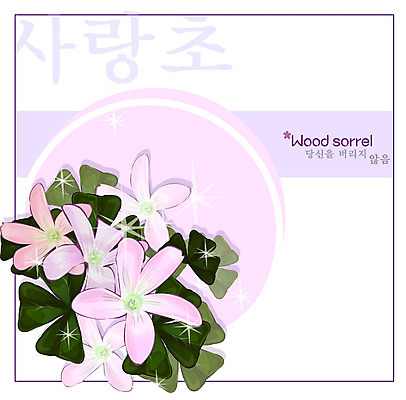 EPS 식물 꽃 분홍색 백그라운드 꽃백그라운드 일러스트 여름꽃 자연 사람없음 꽃말 사랑초 국내일러스트 컬러 생태계 파일형식 벡터 여름_계절