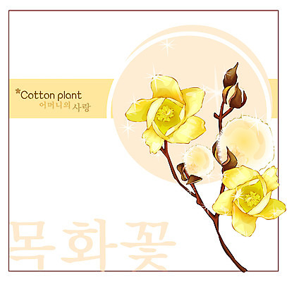 EPS 식물 꽃 컬러 백그라운드 꽃백그라운드 일러스트 여름꽃 자연 사람없음 노란색 솜 꽃말 목화꽃 국내일러스트 생태계 파일형식 벡터 여름_계절