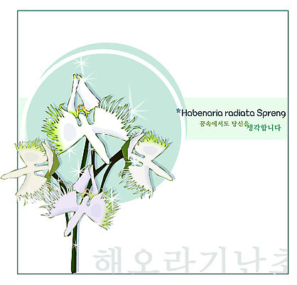 EPS 식물 꽃 백그라운드 꽃백그라운드 일러스트 여름꽃 자연 사람없음 흰색 난초 꽃말 해오라비난초 국내일러스트 컬러 생태계 파일형식 벡터 여름_계절