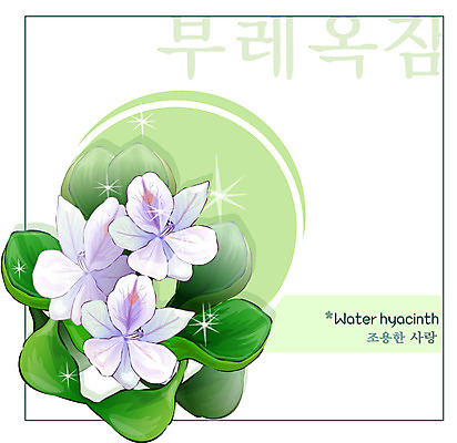 EPS 식물 꽃 컬러 백그라운드 꽃백그라운드 일러스트 여름꽃 자연 사람없음 보라색 꽃말 부레옥잠 국내일러스트 생태계 파일형식 벡터 여름_계절