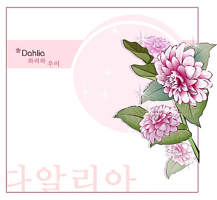 EPS 식물 꽃 백그라운드 꽃백그라운드 일러스트 자연 가을꽃 사람없음 달리아 꽃말 국내일러스트 생태계 파일형식 벡터 가을_계절