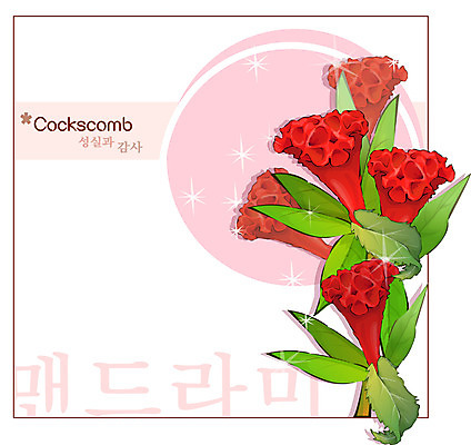 EPS 식물 꽃 컬러 백그라운드 꽃백그라운드 일러스트 여름꽃 자연 사람없음 빨간색 꽃말 맨드라미 국내일러스트 생태계 파일형식 벡터 여름_계절