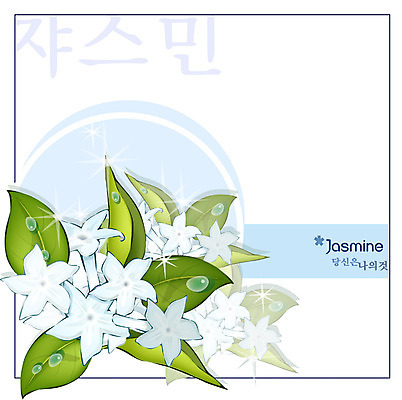 EPS 식물 꽃 백그라운드 꽃백그라운드 일러스트 자연 사람없음 흰색 꽃말 재스민 국내일러스트 컬러 생태계 파일형식 벡터