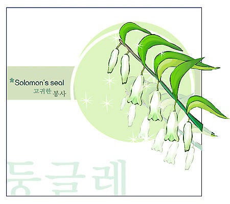 EPS 식물 꽃 백그라운드 꽃백그라운드 일러스트 여름꽃 자연 사람없음 흰색 둥글레 국내일러스트 컬러 생태계 파일형식 벡터 여름_계절