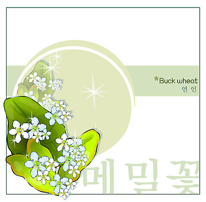 EPS 식물 커플 꽃 백그라운드 꽃백그라운드 일러스트 자연 가을꽃 사람없음 흰색 꽃말 메밀꽃 국내일러스트 컬러 관계 생태계 파일형식 벡터 가을_계절