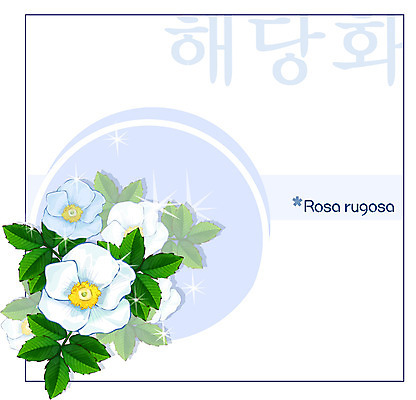 EPS 식물 꽃 백그라운드 꽃백그라운드 일러스트 봄꽃 자연 사람없음 흰색 꽃말 해당화 국내일러스트 컬러 봄 생태계 파일형식 벡터