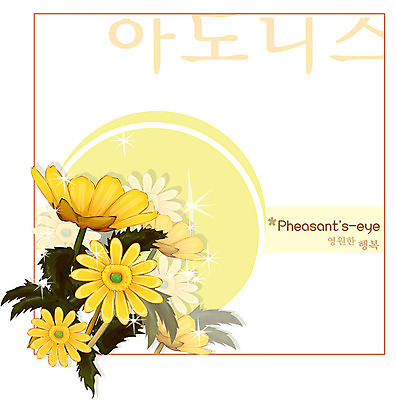 EPS 식물 꽃 컬러 백그라운드 꽃백그라운드 일러스트 자연 사람없음 노란색 겨울꽃 복수초 아도니스 국내일러스트 겨울 생태계 파일형식 벡터
