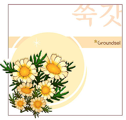 EPS 식물 꽃 컬러 백그라운드 꽃백그라운드 일러스트 여름꽃 자연 사람없음 노란색 꽃말 쑥갓 국내일러스트 채소 생태계 파일형식 벡터 여름_계절