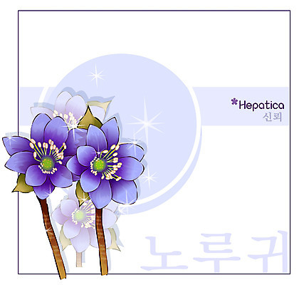 EPS 식물 꽃 컬러 백그라운드 꽃백그라운드 일러스트 봄꽃 자연 사람없음 보라색 꽃말 노루귀 국내일러스트 봄 생태계 파일형식 벡터