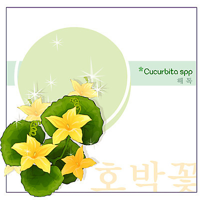 EPS 식물 꽃 컬러 백그라운드 꽃백그라운드 일러스트 여름꽃 자연 사람없음 노란색 꽃말 호박꽃 국내일러스트 생태계 파일형식 벡터 여름_계절