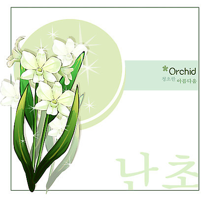 EPS 식물 꽃 백그라운드 꽃백그라운드 일러스트 자연 사람없음 흰색 난초 꽃말 국내일러스트 컬러 생태계 파일형식 벡터