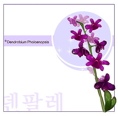 EPS 식물 꽃 컬러 백그라운드 꽃백그라운드 일러스트 자연 사람없음 보라색 난초 꽃말 덴파레 양란 국내일러스트 생태계 파일형식 벡터