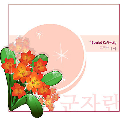 EPS 식물 꽃 컬러 백그라운드 꽃백그라운드 일러스트 자연 사람없음 주황색 꽃말 군자란 국내일러스트 생태계 파일형식 벡터