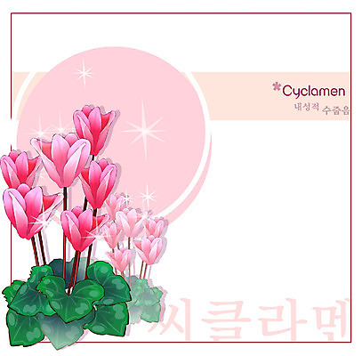 EPS 식물 꽃 분홍색 백그라운드 꽃백그라운드 일러스트 자연 사람없음 꽃말 시클라멘 국내일러스트 컬러 생태계 파일형식 벡터