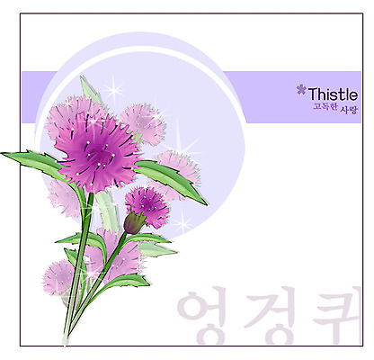 EPS 식물 꽃 컬러 백그라운드 꽃백그라운드 일러스트 여름꽃 자연 사람없음 보라색 꽃말 엉겅퀴 국내일러스트 생태계 파일형식 벡터 여름_계절