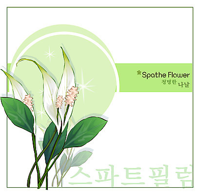 EPS 식물 꽃 백그라운드 꽃백그라운드 일러스트 자연 사람없음 흰색 꽃말 스파트필럼 국내일러스트 컬러 생태계 파일형식 벡터