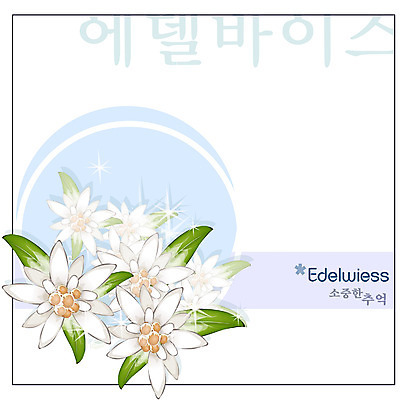EPS 식물 꽃 백그라운드 꽃백그라운드 일러스트 자연 사람없음 흰색 꽃말 국내일러스트 컬러 생태계 파일형식 벡터