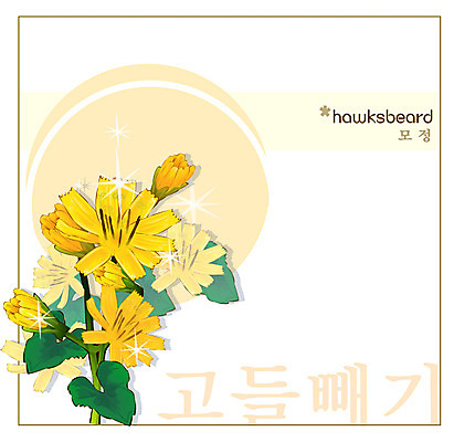 EPS 식물 꽃 컬러 백그라운드 꽃백그라운드 일러스트 여름꽃 자연 사람없음 노란색 꽃말 고들빼기 국내일러스트 생태계 나물 파일형식 벡터 여름_계절