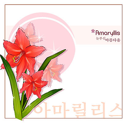 EPS 식물 꽃 컬러 백그라운드 꽃백그라운드 일러스트 봄꽃 자연 사람없음 빨간색 꽃말 아마릴리스 국내일러스트 봄 생태계 파일형식 벡터
