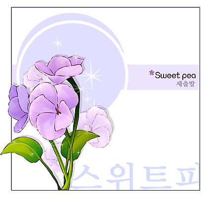 EPS 식물 꽃 컬러 백그라운드 꽃백그라운드 일러스트 자연 사람없음 보라색 꽃말 스위트피 국내일러스트 생태계 파일형식 벡터