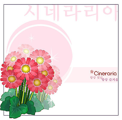 EPS 식물 꽃 컬러 백그라운드 꽃백그라운드 일러스트 자연 사람없음 빨간색 꽃말 겨울꽃 시네라리아 국내일러스트 겨울 생태계 파일형식 벡터