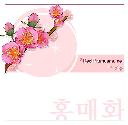 EPS 식물 꽃 분홍색 백그라운드 꽃백그라운드 일러스트 봄꽃 자연 사람없음 매화 꽃말 홍매화 국내일러스트 컬러 봄 생태계 파일형식 벡터