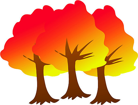 EPS 나무 식물 계절 컬러 단풍 일러스트 자연 단풍나무 사람없음 빨간색 가을 세그루 국내일러스트 잎 3 생태계 파일형식 벡터