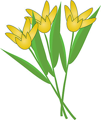 EPS 클립아트 식물 꽃 컬러 일러스트 봄꽃 자연 사람없음 노란색 튤립 세송이 국내일러스트 3 봄 생태계 파일형식 벡터