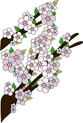 EPS 클립아트 나무 식물 꽃 일러스트 봄꽃 꽃나무 사람없음 봄 벚꽃 나뭇가지 벚나무 국내일러스트 계절 파일형식 벡터